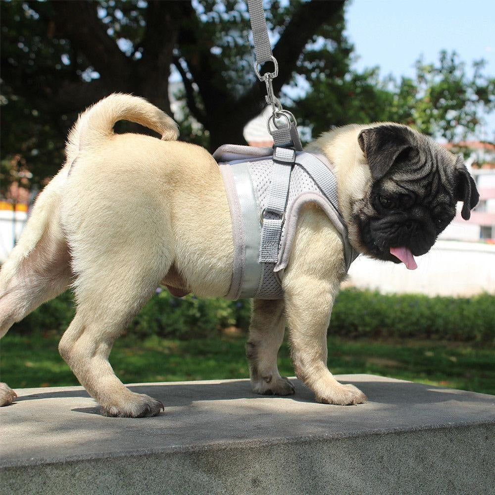 Dog Harness and Leash Set for Chihuahua Pug Small Medium Nylon Mesh Puppy Cat Harnesses Vest Reflective Walking Lead Leash